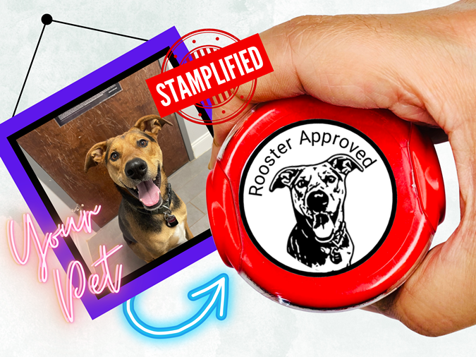 Custom Pet Portrait Stamp By Stamplified®